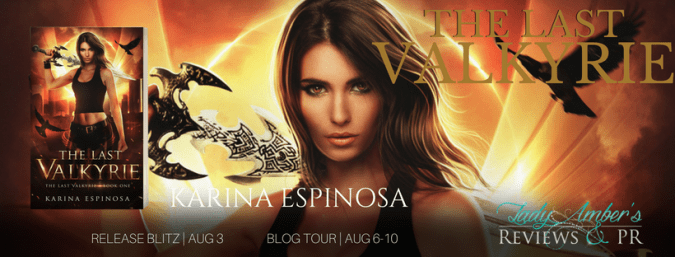 THE LAST VALKYRIE RDB TOUR BANNER