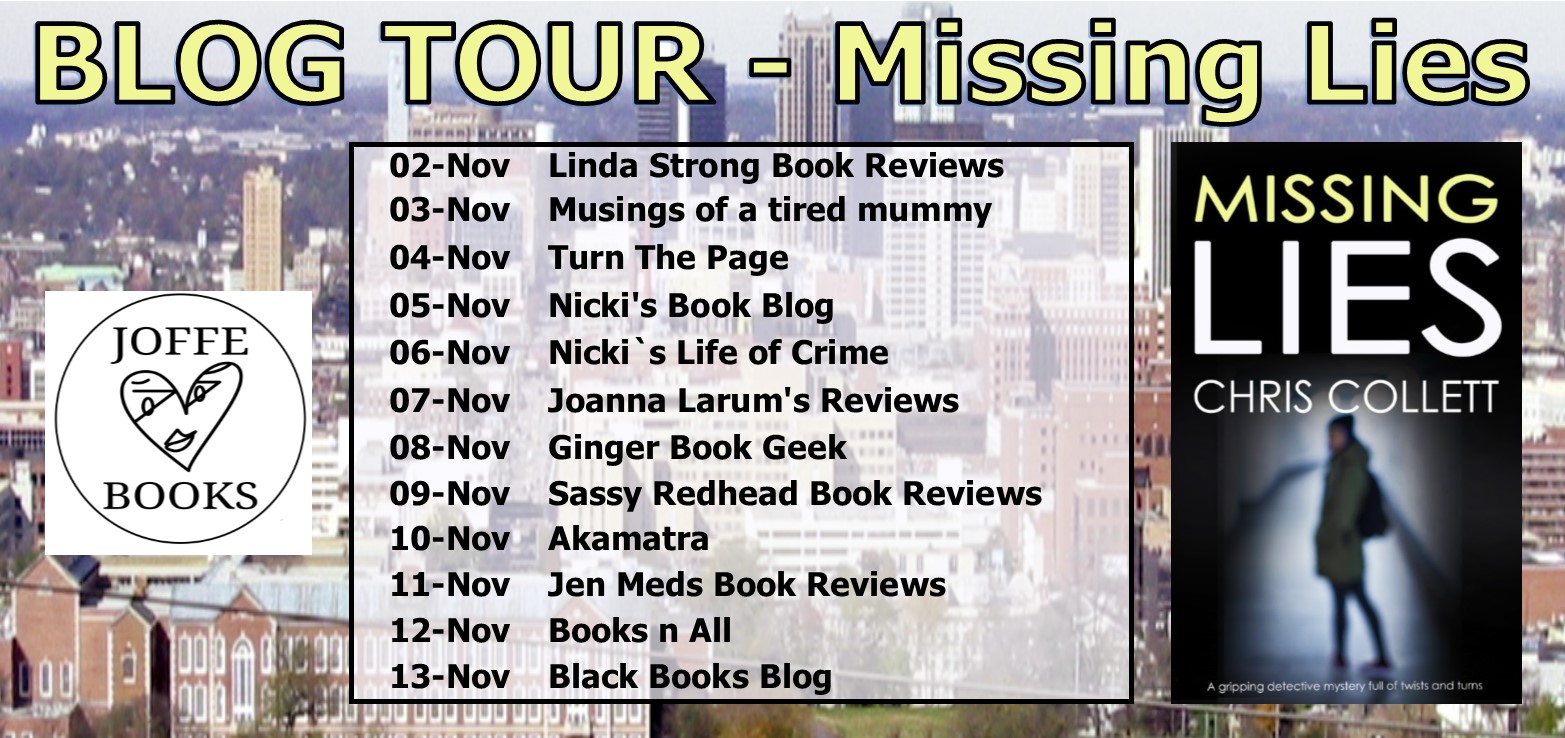 Blog Tour BANNER - Missing Lies