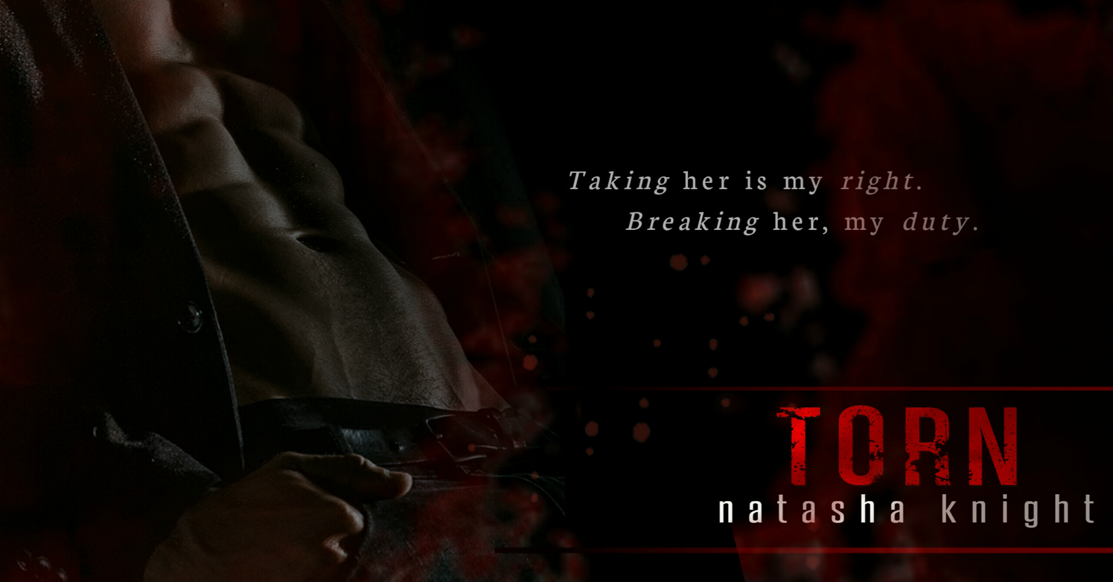 Torn Teaser 1