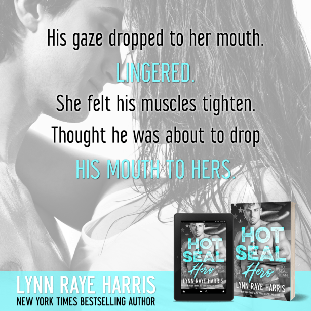 HOT SEAL Hero Teaser 2