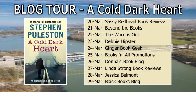BLOG TOUR BANNER - A cold dark heart