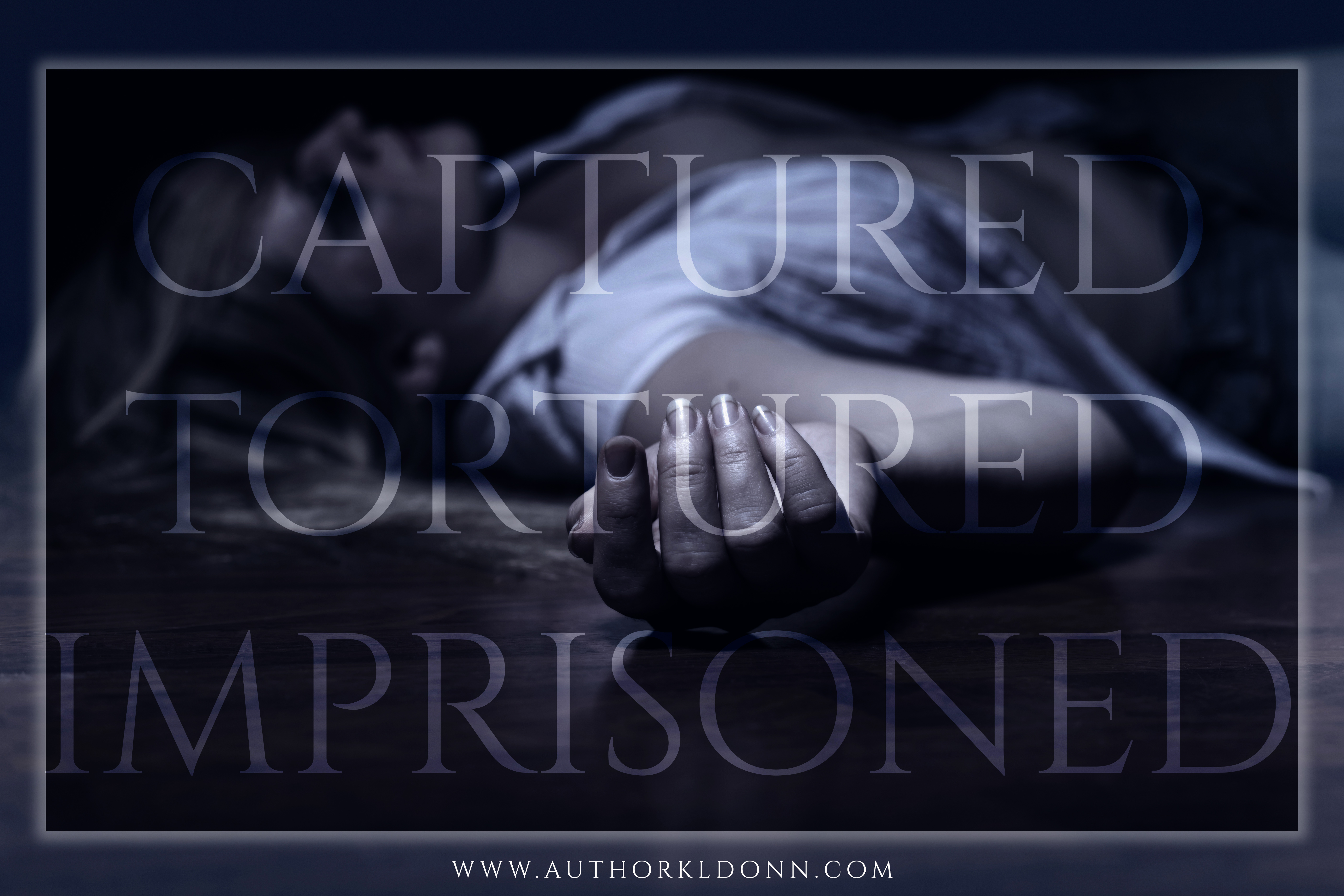 beautiful bridal portrait lie in grass with veil around her