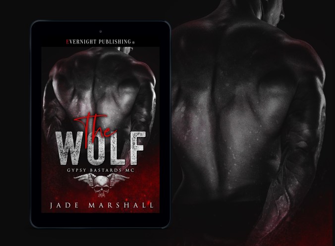 the wolf-3D-eReader